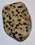 Jaspe dalmatien - 3x2.5x1.5cm - 16 à 22g